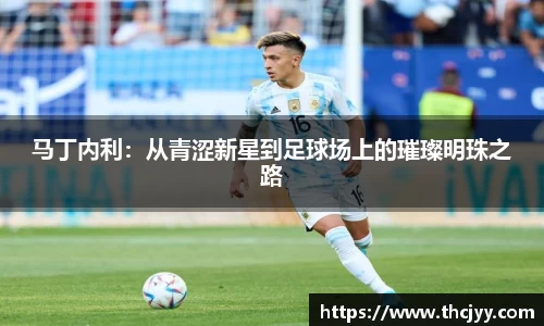 马丁内利：从青涩新星到足球场上的璀璨明珠之路