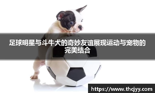 足球明星与斗牛犬的奇妙友谊展现运动与宠物的完美结合