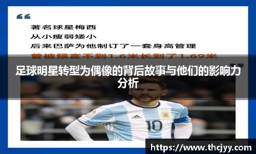 zoty中欧有限公司